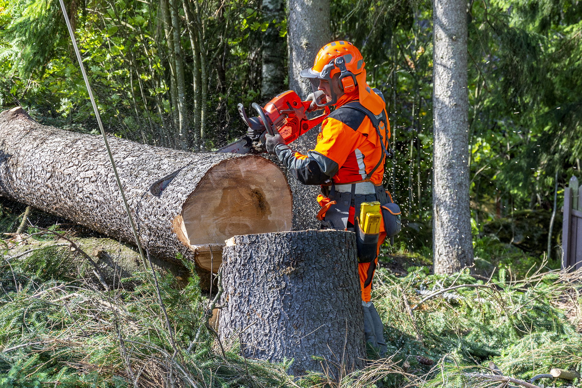 Puunkaato nopeasti ja palvellen - Metsäpalvelu Juho Tähkänen